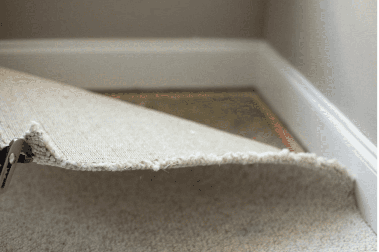 Afinityms carpet removal made easy