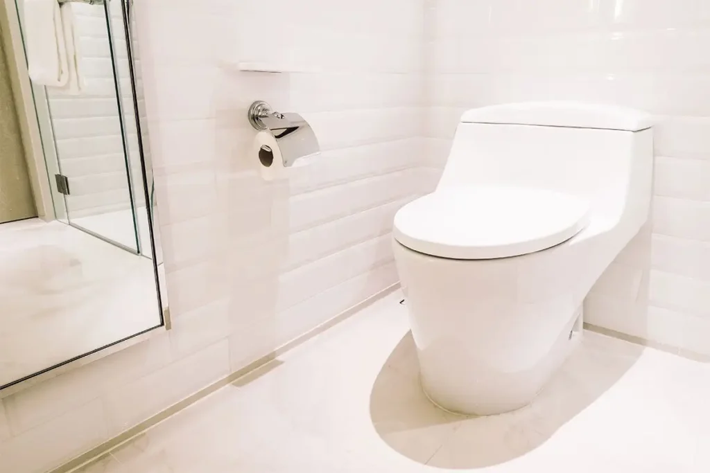 Plumbing Services | Toilet Seart English Fitting Replacement | AfinityMS